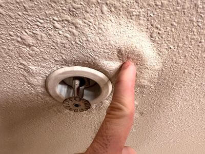 About Black Mold Removal Springfield - black mold removal experts in Springfield